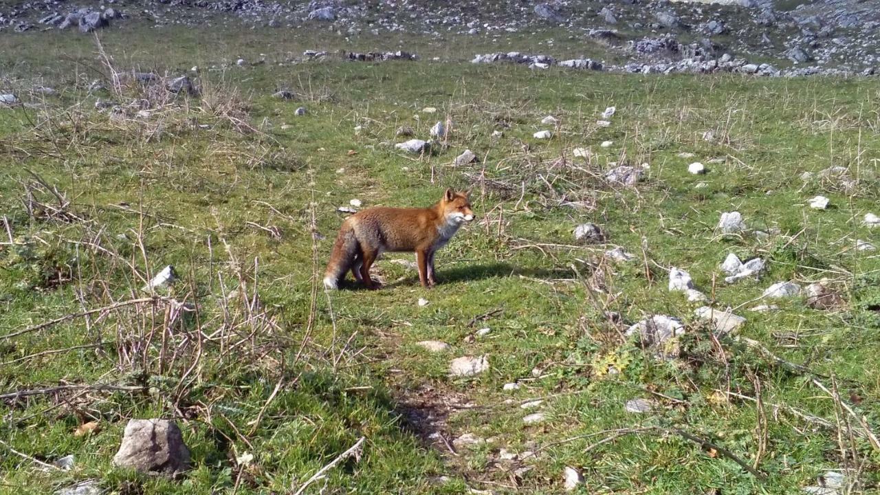 Natour L'Ostello Per I Camminatori Barisciano Екстериор снимка